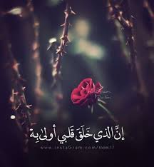 اكسبلور فولو Toom 17 فارس البشيري Toom17 تصميمي عبدالمجيد الفوزان تصاميم صباح الخير شيمي Photo Quotes Words Quotes Arabic Quotes