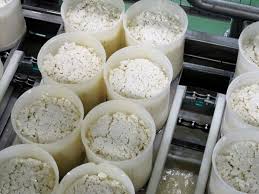 Une Visite A L Usine De Fabrication Du Roquefort Papillon En Aveyron Roquefort Roquefort Papillon Fabrication Fromage