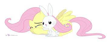 Don T Cry Fluttershy By Dm29 On Deviantart Fluttershy Mlp My Little Pony My Little Pony Friendship