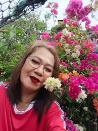 Bogan beliya flowers in my garden...