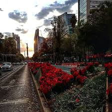 1 630 Me Gusta 4 Comentarios Time Out Mexico Timeoutmexico En Instagram Oficialmente Entramos En Epoca Navidena Paseo De La Reforma Instagram Navideno