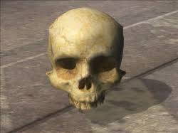 While certain nameplates are unlocked for playing other halo games, or making notable contributions to the community. Halo 3 Odst Skull Locations And Achievements Guide Video Games Blogger