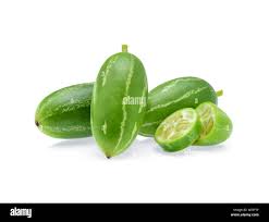 Image result for Coccinia grandis