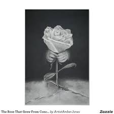 The Rose That Grew From Concrete Poster Zazzle Com Eye Art Concrete Rose Rose Art