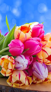 Download and use 100,000+ beautiful flowers stock photos for free. Tulpen Nl On Twitter Beautiful Flowers Wallpapers Beautiful Flowers Flowers