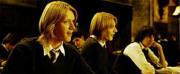 *harry is rumoured to be the heir of slytherin: Can You Tell Fred And George Weasley Apart