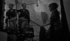 Profile for Cécile Laforest