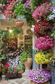 Me hicieron la decoración de la. Patio Con Flores Beautiful Gardens Plants Beautiful Flowers