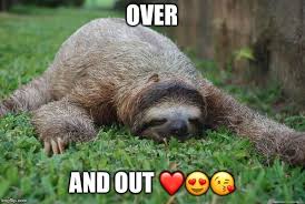 We did not find results for: Sleeping Sloth Sloth Sloth Meme Sloth Life