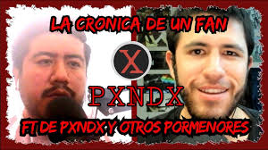 LA CRONICA DE UN FAN DE PXNDX