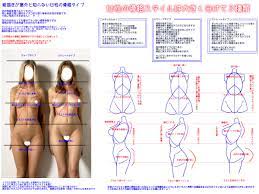 裸体あり注意】絵描きが意外と知らない女性の骨格タイプ - Togetter