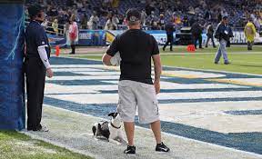Halftime Dogs World Famous Frisbee Dogs Halftime Show