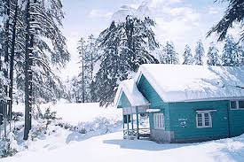 Image result for patnitop images
