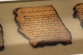 Image result for scrolls IMAGES