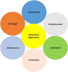 Pang l lim, don lim, pong lim, thomas riley. Role Of Capping Agents In The Application Of Nanoparticles In Biomedicine And Environmental Remediation Recent Trends And Future Prospects Nano Market