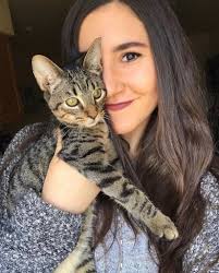 Keeping a healthy home as a cat owner