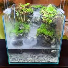 Aquascaper Compartio Una Publicacion En Instagram How To Setup Nano Terrarium Fol Diy Succulent Terrarium Beautiful Terrariums Indoor Water Garden