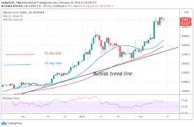 February 2021 could be a good month for altcoins. Bitcoin Btc Price Prediction Btcusd Consolidates Below 48 000 Resistance May Rally Above 50 000 High
