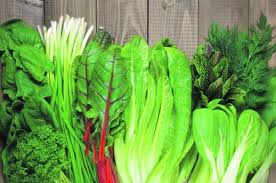 Slikovni rezultat za povrÄ‡e lisnato i Ä‘umbir slike