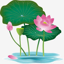 hand drawn floral lotus flower leaf foliage plant waterdrop element hand painted flowers lotus png and vector with transparent background for free download in 2021 watercolor flower background lotus plant foliage plants