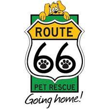 Check spelling or type a new query. Pet Adoption League Waiting Dogs Cats Home Facebook