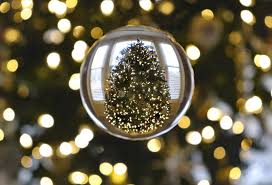 Lensball review | is it the best crystal ball for photography? Christmas Tree In Lensball Photograph By David T Wilkinson