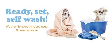 The best way to see what's happening at bubbles pet salon and spa in williamsville, ny is to check out our facebook page Dog Grooming Cat Grooming Bubbles Pet Spa