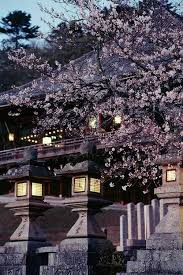 Pin By Kay On Magnifique Paysage Asiatique In 2020 Nara Japan Japan Travel Japan