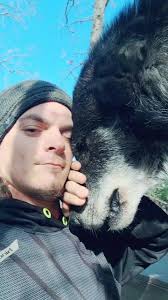 Wolf Growling Compilation: Funny TikTok Videos