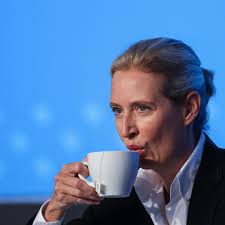 26-jährige AfD-Politikerin Marie-Thérèse Kaiser behauptet, sie habe 21  Jahre Berufserfahrung