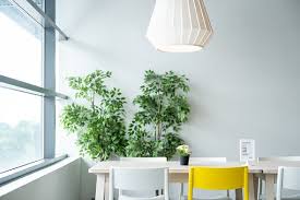 Maybe you would like to learn more about one of these? How To Decorate Your Home With Artificial Plants And Trees My Decorative