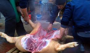 Având în vedere încheierea unui protocol de colaborare între autoritatea națională pentru. MaramureÈ Ce ProbÄ De Carne Trebuie SÄ DucÄ La Examenul Trichineloscopic Cei Care Taie Porcul In GospodÄrie Maramedia