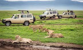 Safari Soles Tours - Safari Deal