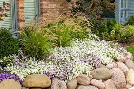 It blooms, sets seed and then dies at the end of the sweet fragrance; 10 Garden Filler Plants Proven Winners
