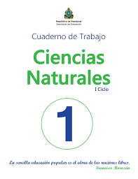 Respuesta a tarea de libro de ciencias naturales de 4 grado de la sep pagina 162. Cuadernos De Trabajo De Ccnn De 1 A 9 Grado Complementos De Los Libros De Texto Zonadeldocente Com