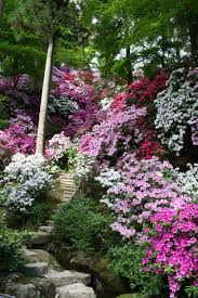 Yes Where Flowers Bloom So Does Hope Azalea Flowers In Saga Japan Beautiful Gardens Gorgeous Gardens Dream Garden