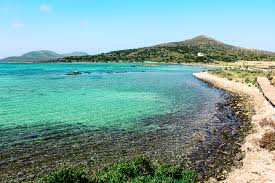 Asinara is just 52 square kilometers in size and is one of sardinia's most incredible national parks, as well as a wildlife and marine preserve. Sardinia S Asinara Island A Former Prison Turned Into National Park Italy Magazine
