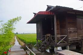 Book the perfect trip with 3,063 malaysia houses and homestay to rent. Kampung Dorani Malaysian Homestay Adventures With Family