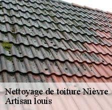 Nettoyage De Toiture 58 Nievre Tel 03 59 28 38 16
