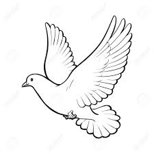 Pomba Branca Voando Livre Desenho Ilustracao Vetorial De Estilo Isolada No Fundo Branco Mao Realista Desenho De Pomba Branca Pombo Batendo Asas Simbolo Do Amor Romance E Inocencia Icone Do Casamento Ilustraciones Um desses episódios é narrado no capítulo 8 do livro de gênesis, primeiro livro do velho testamento. pomba branca voando livre desenho ilustracao vetorial de estilo isolada no fundo branco mao realista desenho de pomba branca pombo batendo asas