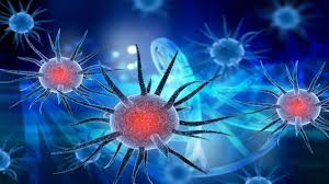 India reported the highest ever spike of covid cases on april 21 the country reported 2 95 041 new covid 19 cases in last 24 hours india s covid caseload now stands at 1 56 16 130 and currently there are 21 57 538 active cases in india. Warm Humid Weather Linked To Slower Spread Of Coronavirus Says Mit Study
