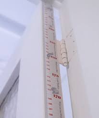 Doorjam Children S Height Chart A Measure Of Discretion Size Chart For Kids Height Chart Height Chart Kids