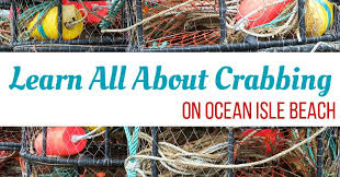 Learn All About Crabbing On Ocean Isle Beach