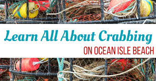 learn all about crabbing on ocean isle beach