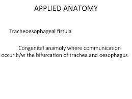 Anatomy Of Trachea By Dr Manjula Vastrad Asst