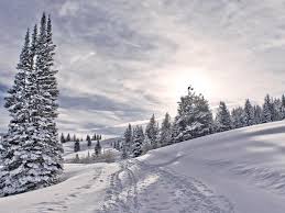 Steamboat springs is often ranked by leading travel and ski magazines as one of the best family friendly one of my favorite family friendly resorts just a short drive from denver is keystone. 6 Kid Friendly Ski Resorts Parents Will Love Too Booking Com