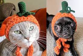 From Handmade Monster Pet Costumes Pet Costumes Cat Dog Halloween Costumes