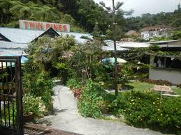 Find homestay in cameron highland from our list below. Twin Pines Guesthouse Guest House Cameron Highlands Deals Photos Reviews