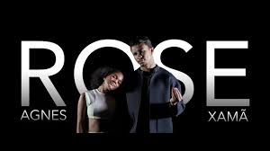 Ve se não demora 2019. Rose Agnes Nunes Xama Shazam