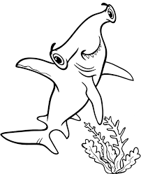 Shark does not have a single bone in its body and its skeleton is made up of cartilage. Hammerhead Shark Coloring Page Sheet To Print Or Download Fish Coloring Page Free Color Shark Coloring Pages Kids Printable Coloring Pages Fish Coloring Page